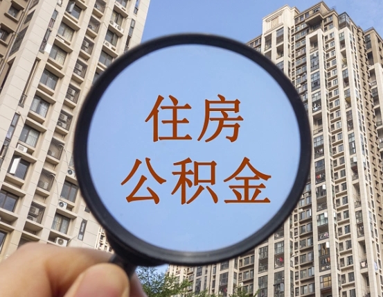 南城辞职了公积金怎么取（辞职了之后公积金怎么取）
